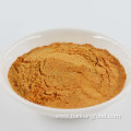 Tomato Powder Dehydrated Vegetables Spice Powder